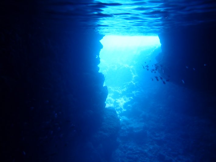 潛水 PADI 藍洞 推薦