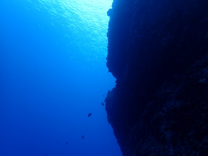 沖繩 潛水課 推薦