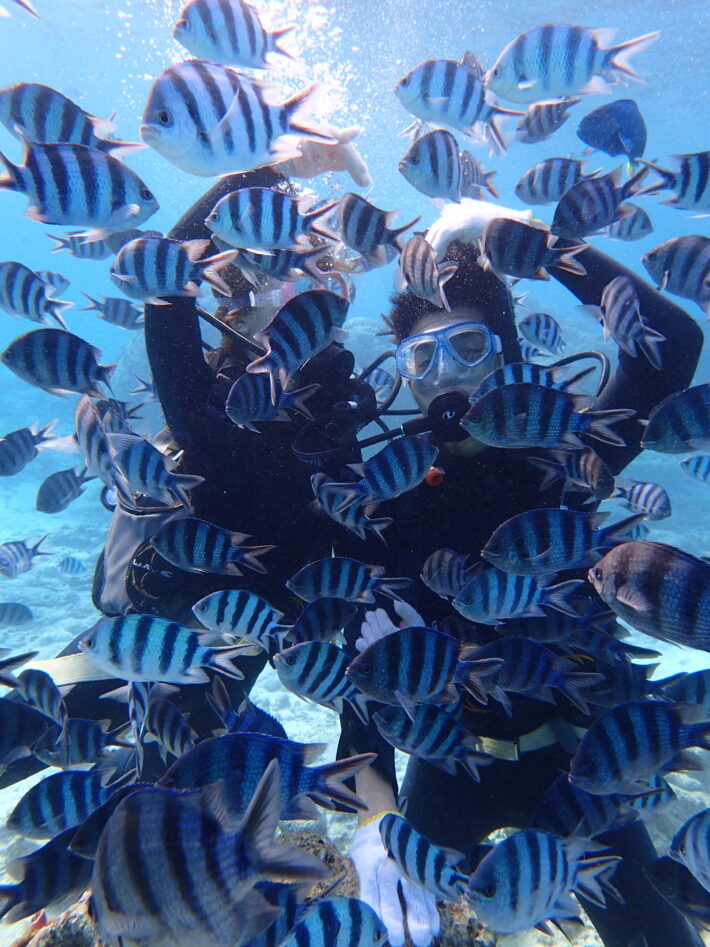 沖繩潛水 夢幻礁 青洞