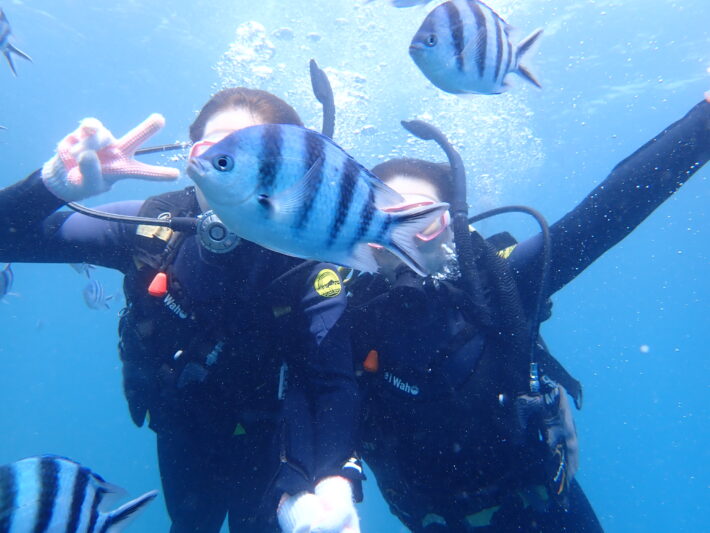 沖繩潛水 藍洞浮潛 FUN DIVE