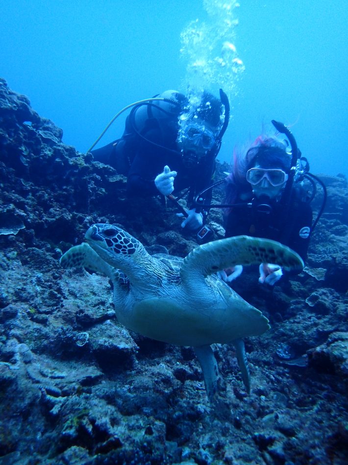 沖繩 考潛水證照 推薦