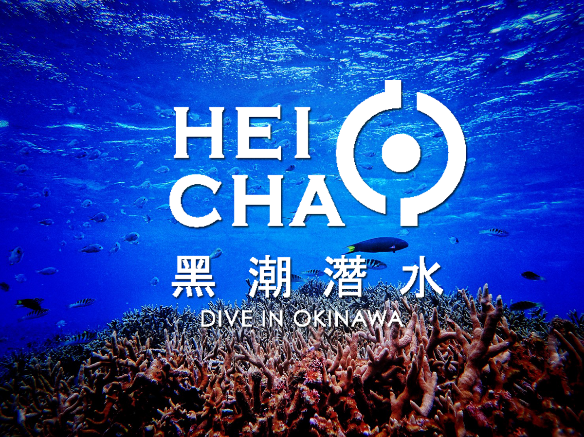 沖绳 青洞　潜水　浮潜 中文　黑潮潜水in沖绳