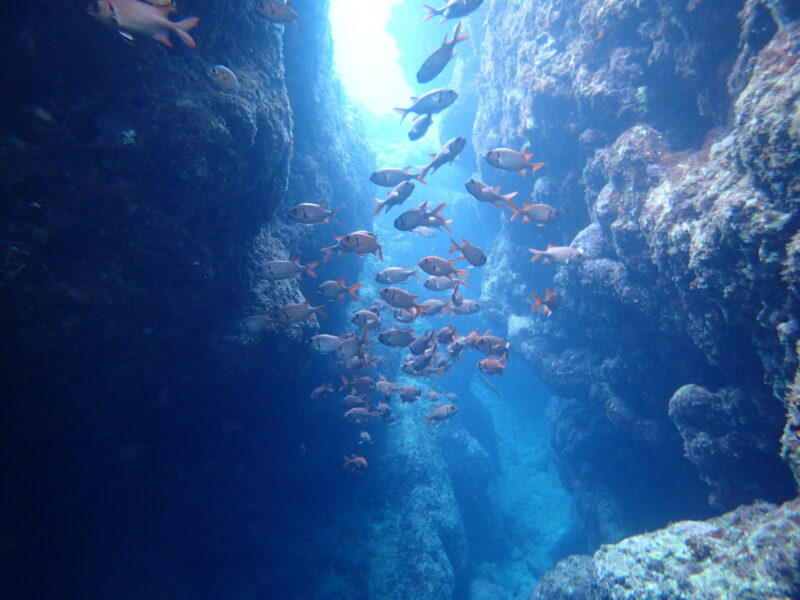 沖繩青之洞窟 潛水 FUN DIVE｜我的秘密基地｜黑潮潛水