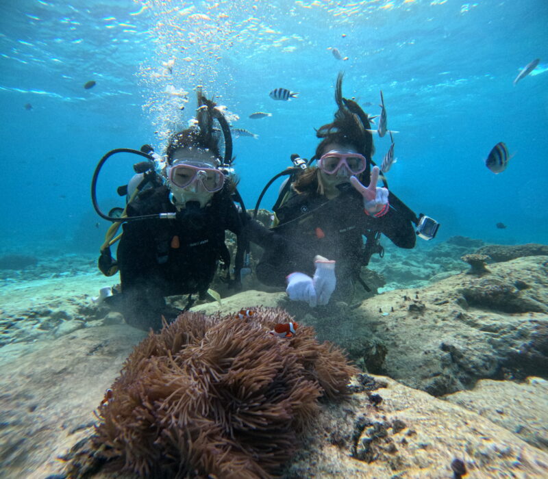 黑潮潛水 沖繩旅遊 夢幻礁