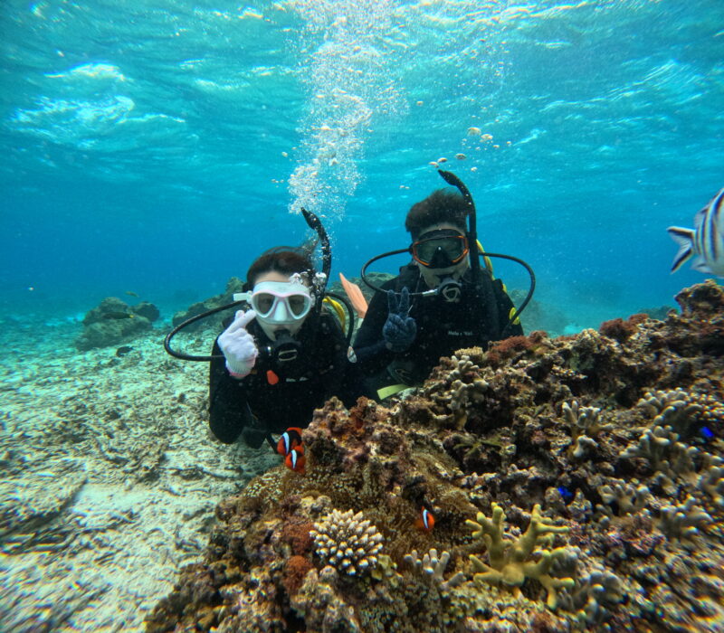 梦幻礁 珊瑚 冲绳 体验潜水