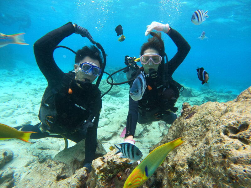 夢幻礁 珊瑚 沖繩 體驗潛水