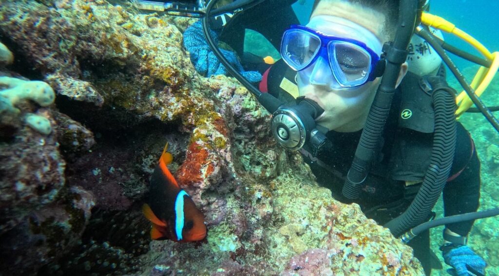 沖繩潛水 青洞深潛 中文教練｜色彩鮮艷又大隻的魚｜黑潮潛水