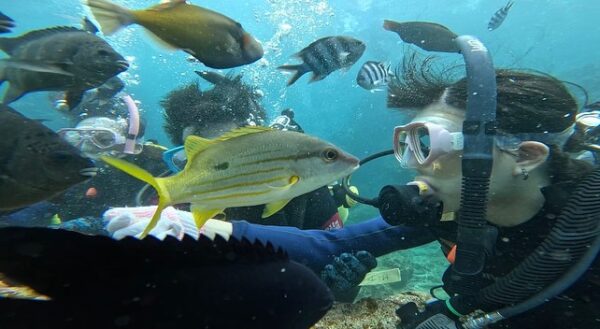 沖繩旅遊 藍洞 潛水浮潛｜與魚互動｜黑潮潛水