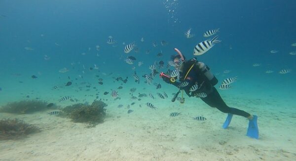 沖繩旅遊 夢幻礁 潛水浮潛｜海洋之美｜黑潮潛水