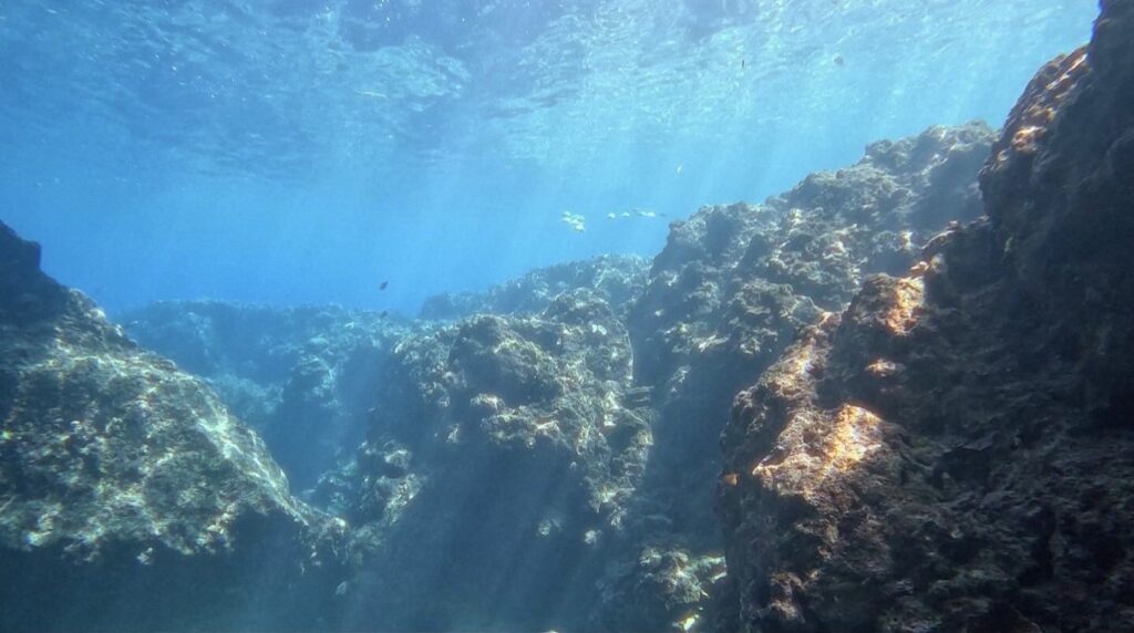 沖繩旅遊 夢幻礁 ｜體驗潛水｜黑潮潛水
