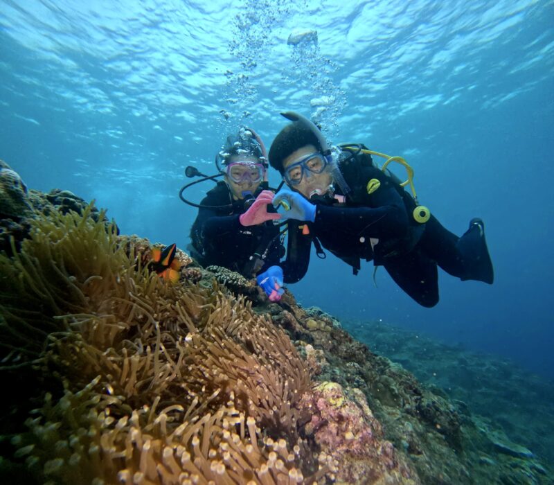 黑潮潛水 沖繩旅遊 中文說明