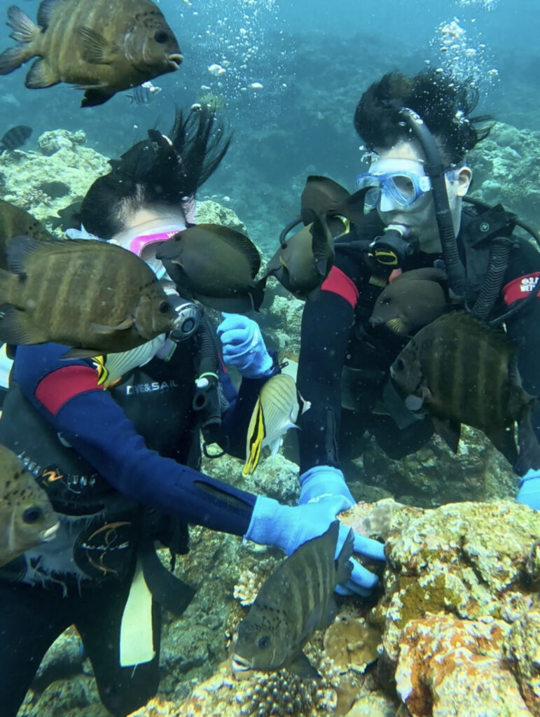 黑潮潛水 沖繩旅遊 中文說明