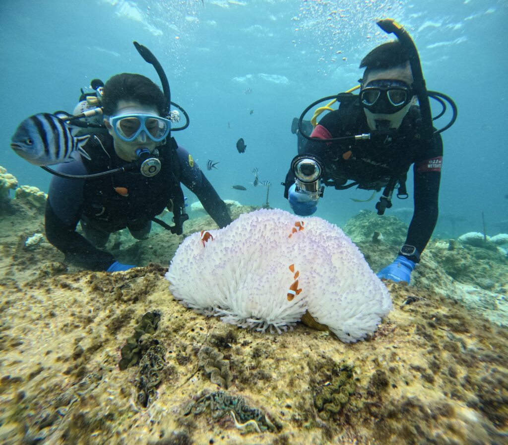 沖繩旅遊 青洞 ｜ 豐富的海底世界｜黑潮潛水