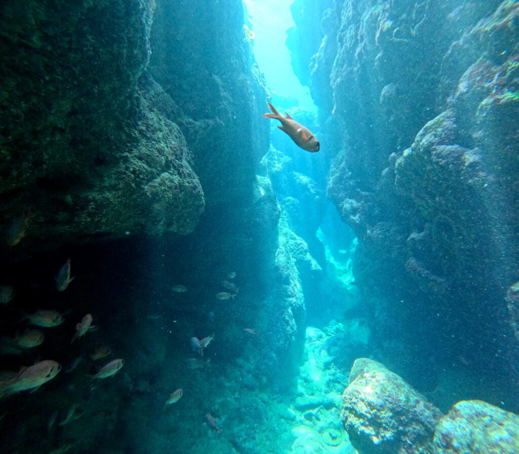 黑潮潛水 沖繩旅遊 中文教練