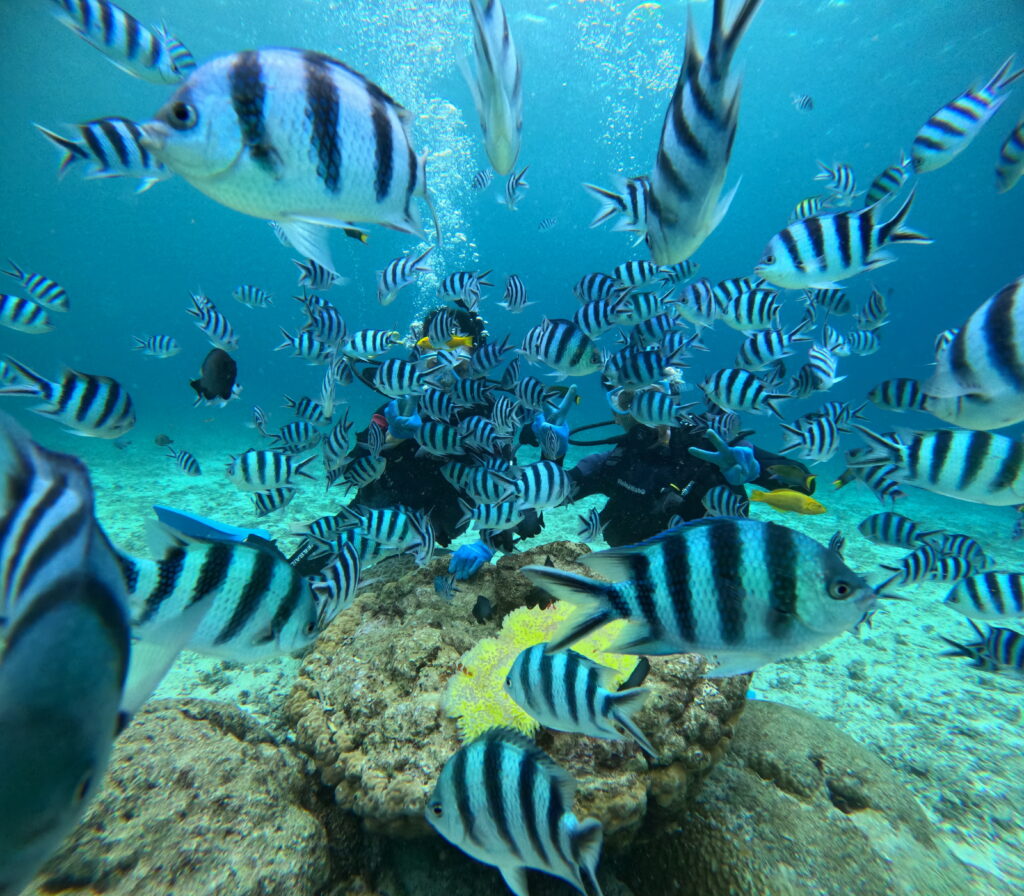 黑潮潛水 沖繩旅遊 中文教練