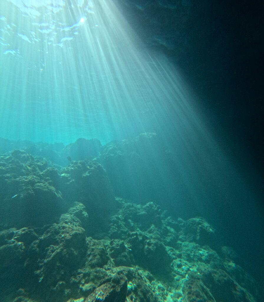 沖繩旅遊 浪漫潛水 黑潮潛水