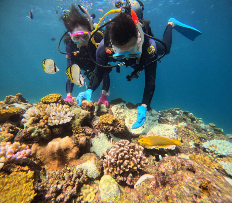 沖繩旅遊 浪漫潛水 黑潮潛水