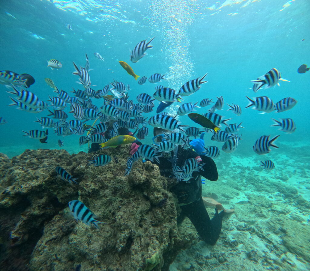 黑潮潛水 沖繩旅遊 中文教練