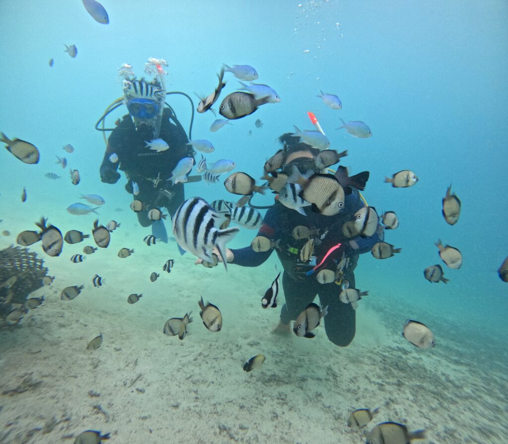 黑潮潛水 沖繩旅遊 中文教練 潛水