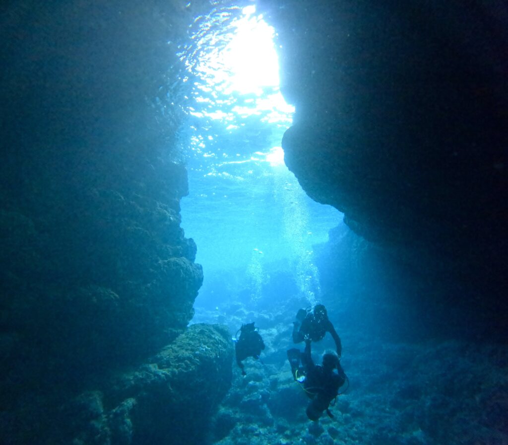 沖繩旅遊 中文說明 沖繩 潛水 黑潮潛水