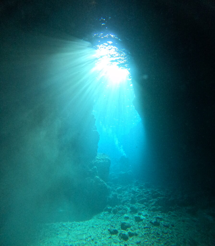 黑潮潛水 沖繩旅遊 中文教練 冬季潛水 潛水