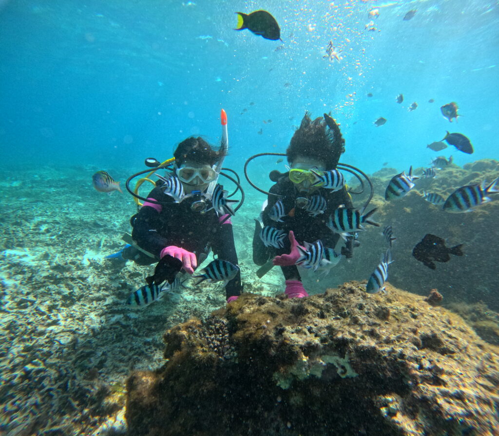 黑潮潛水 沖繩旅遊 中文教練 潛水