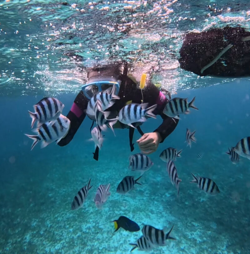 冲绳 旅游 梦幻礁 浮潜 中文说明