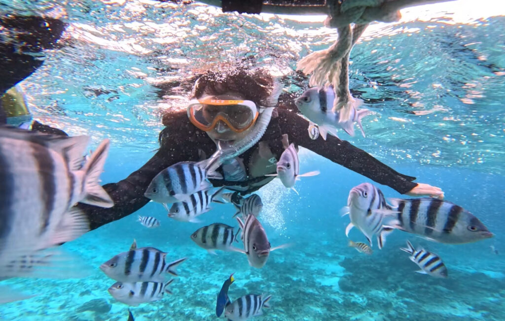 冲绳 旅游 梦幻礁 浮潜 中文说明