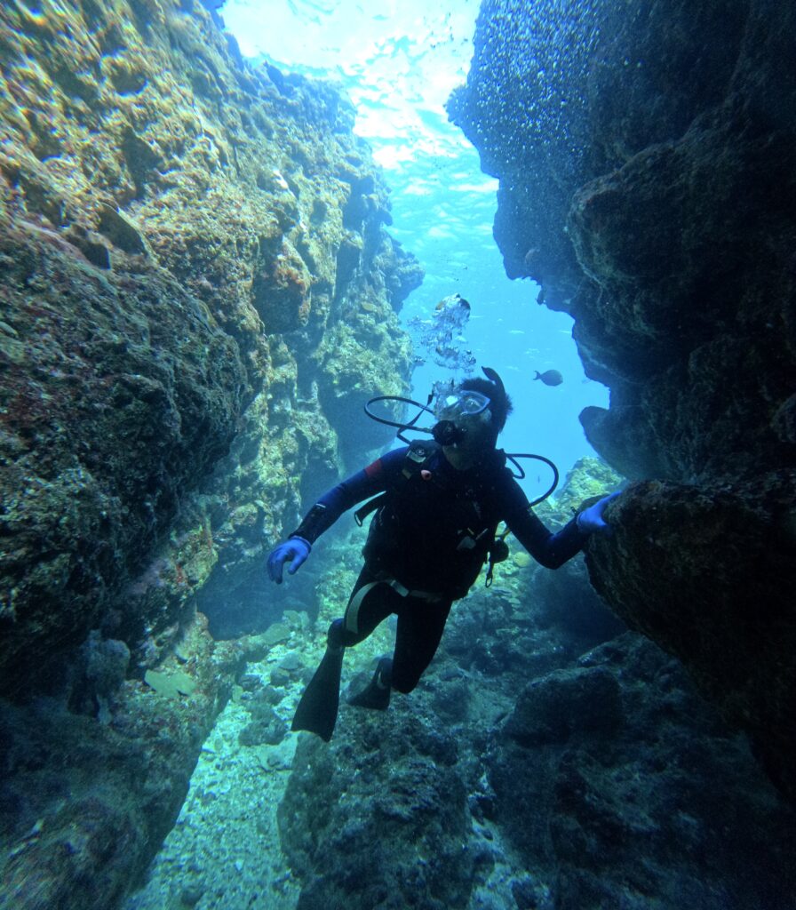 冲绳 中文说明  体验潜水 PADI｜🌊 冬季也可以潜水❄️｜黑潮潜水