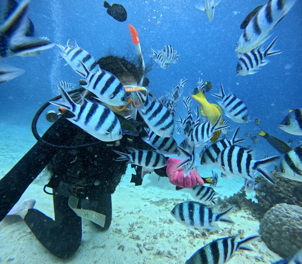 沖繩 旅遊 夢幻礁 浮潛 潛水 中文說明