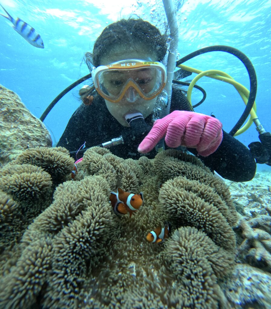 沖繩 旅遊 夢幻礁 浮潛 潛水 中文說明