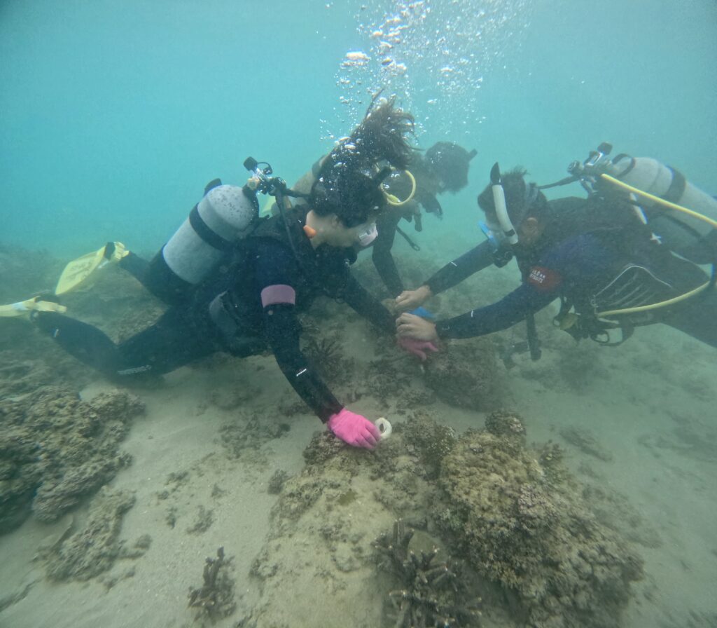 体验潜水 浮潜 潜水 冲绳 中文教练