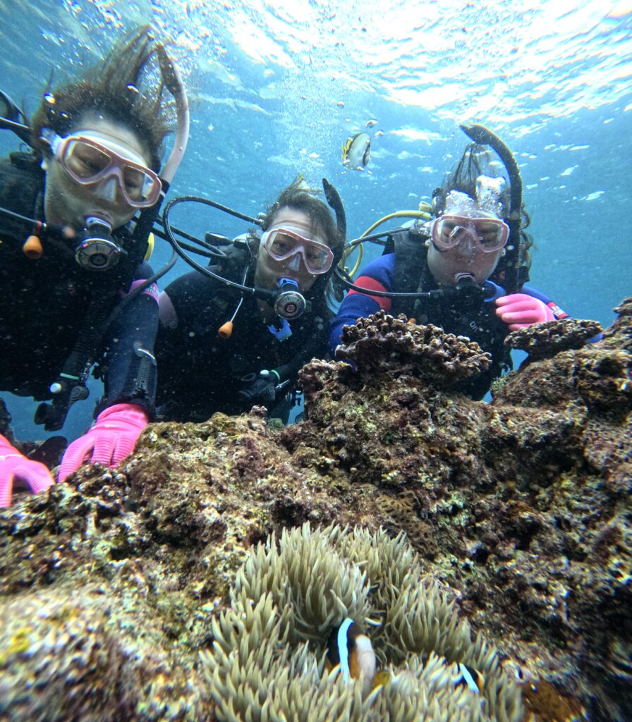 沖繩浮潛｜沖繩潛水｜青洞浮潛