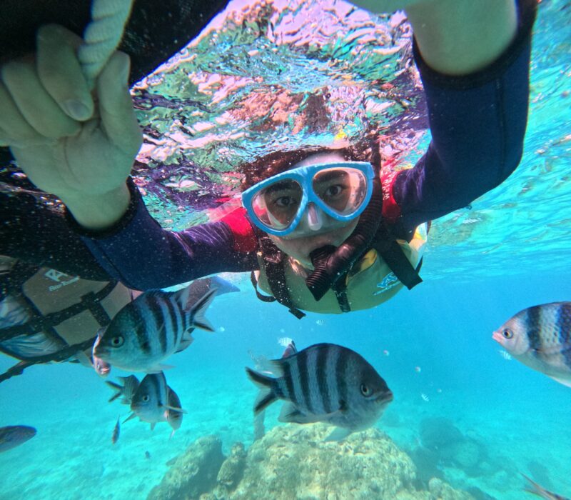 PADI 梦幻礁 青洞 浮潜