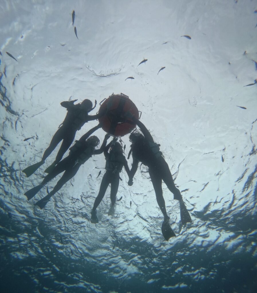 沖繩浮潛 中文教練 浮潛 超萌尼莫等著你 黑潮潛水