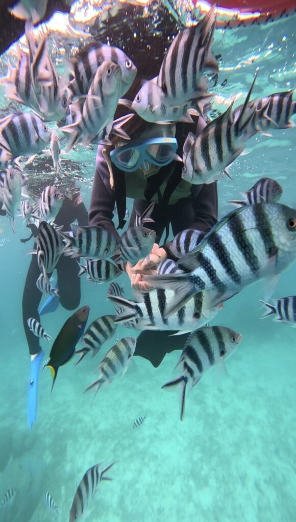 沖繩旅遊 PADI 浮潛｜畢業，不只是離別