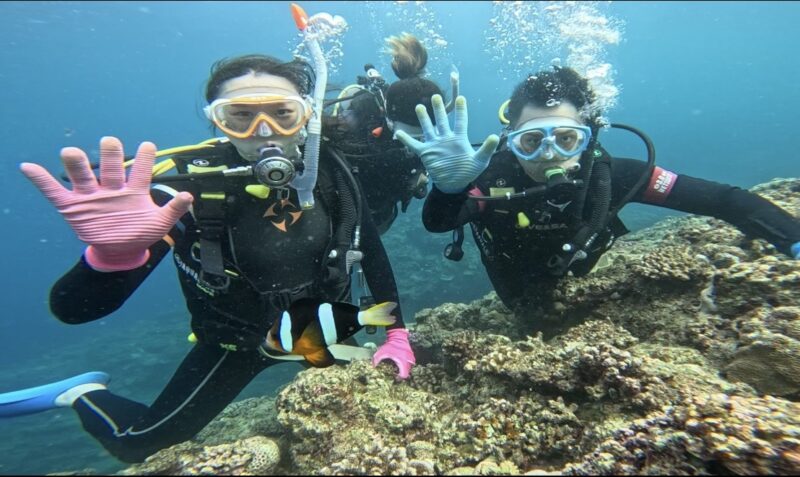 蓝洞 PADI 中文说明