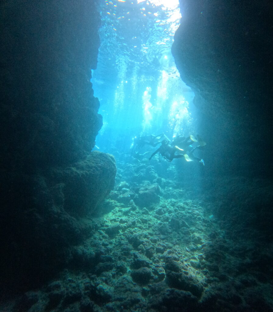 沖繩 潛水 PADI