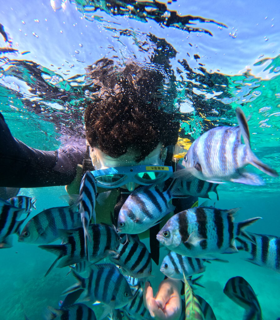 冲绳 青之洞窟 潜水 青洞 PADI 浮潜