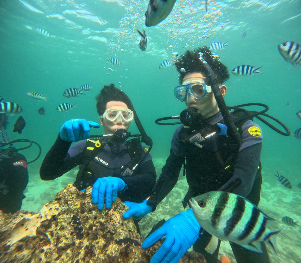 冲绳 PADI 梦幻礁