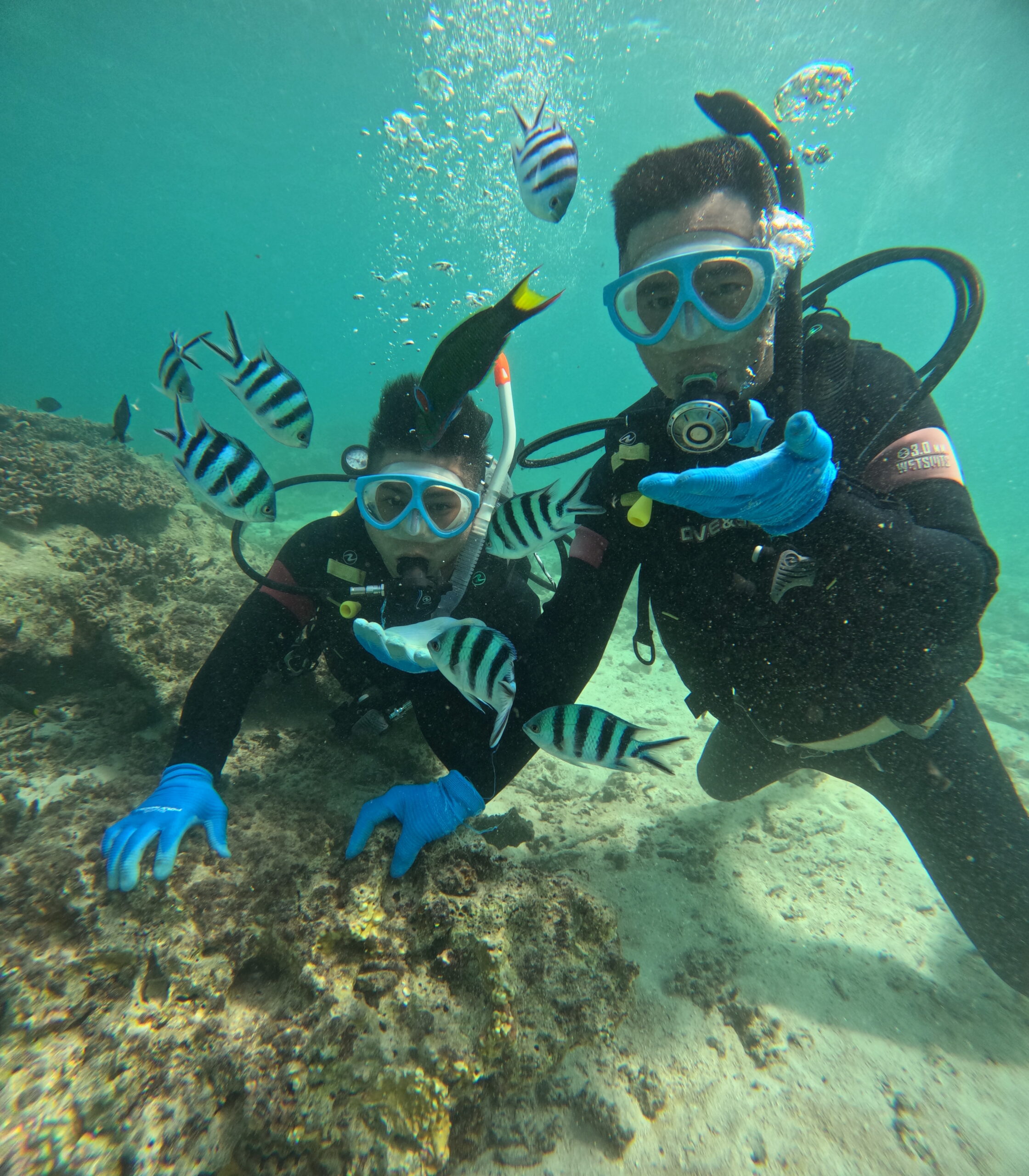 冲绳 PADI 梦幻礁 潜水 中文