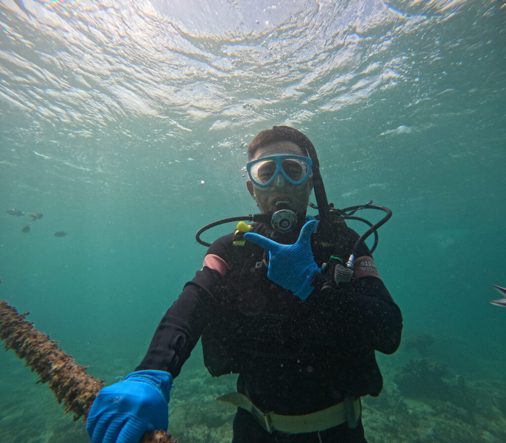 冲绳 PADI 梦幻礁 潜水  中文