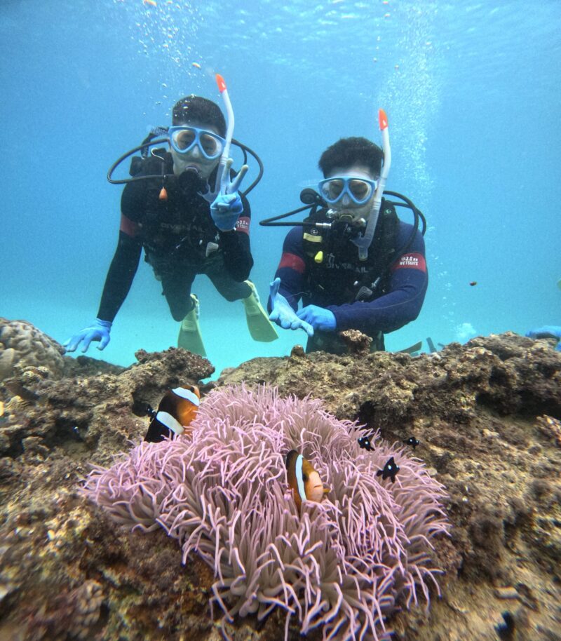 冲绳 PADI 崎本部绿地 潜水 中文