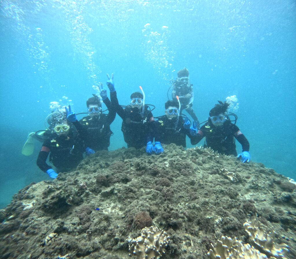 冲绳 PADI 崎本部绿地 潜水 中文
