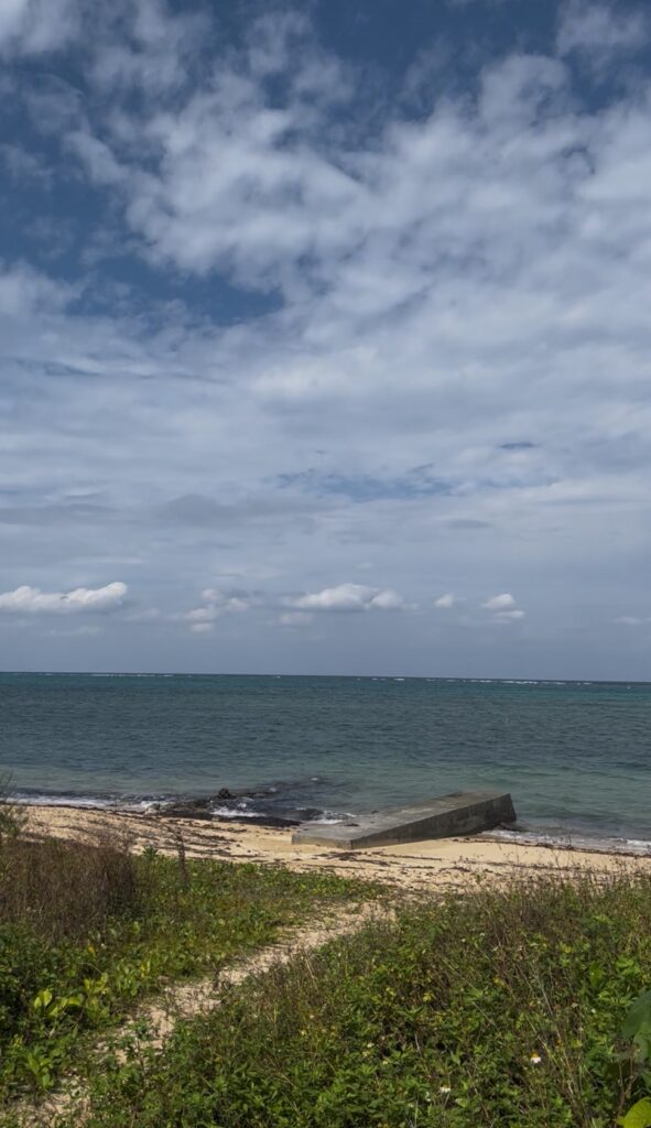 冲绳 中文教练 PADI 海的相遇 黒潮潜水