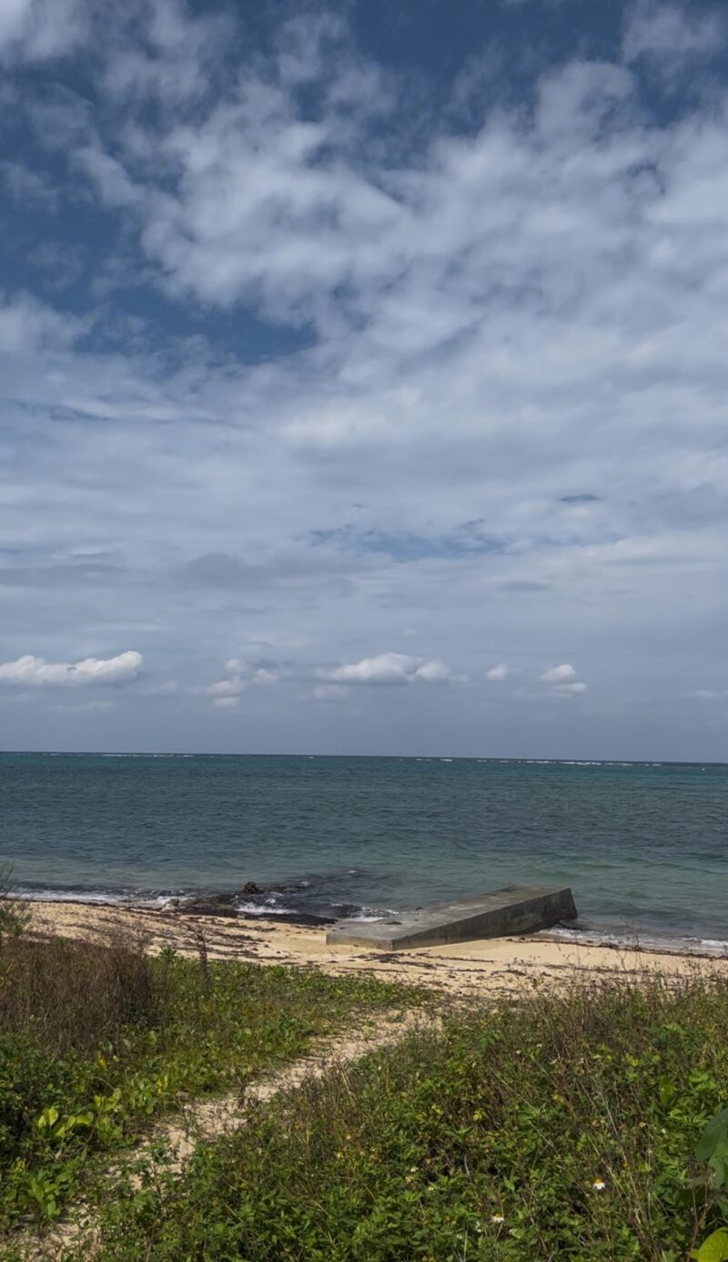 沖繩 中文教練 PADI 海的相遇 黒潮潛水
