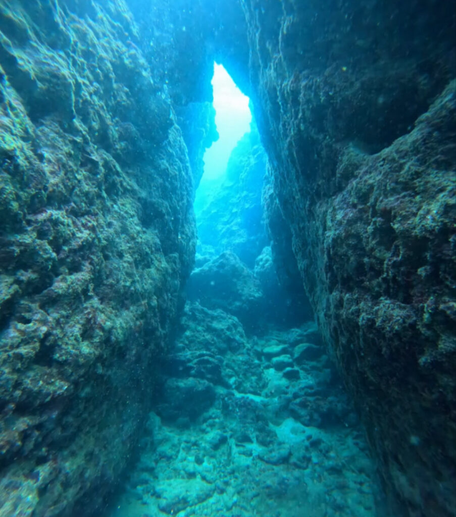 冲绳 PADI 梦幻礁