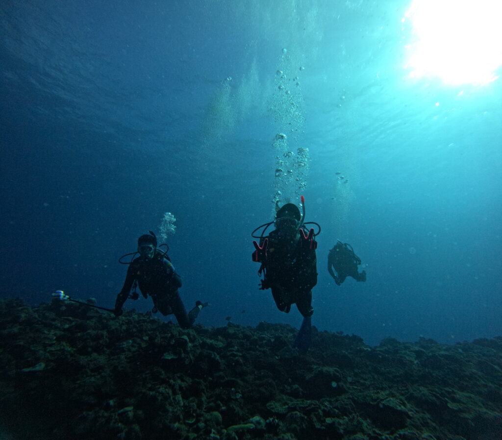 沖繩 藍洞 PADI