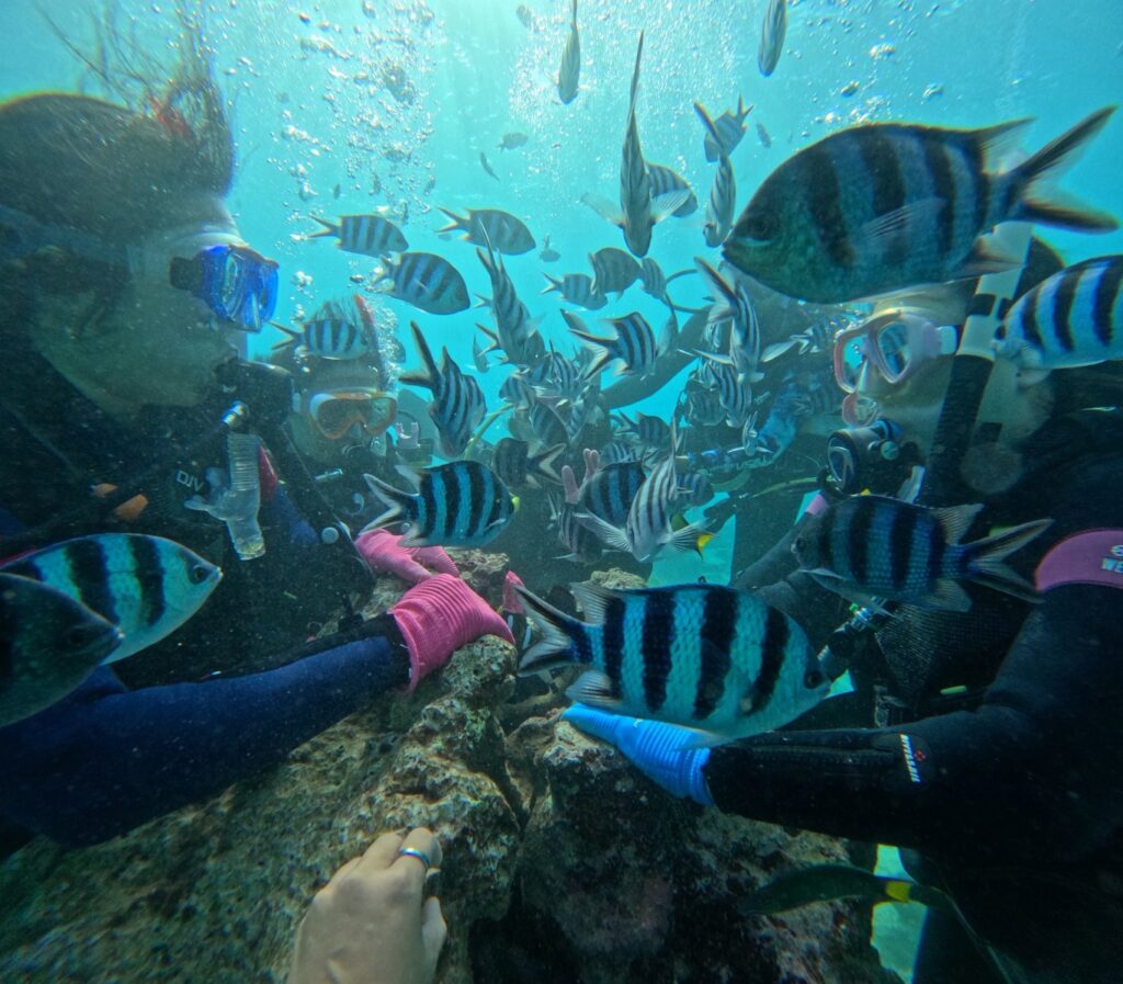 沖繩 潛水 PADI