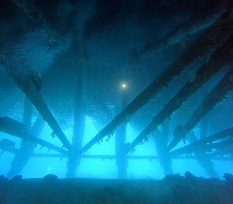 潜水 浮潜 中文说明 中文教练